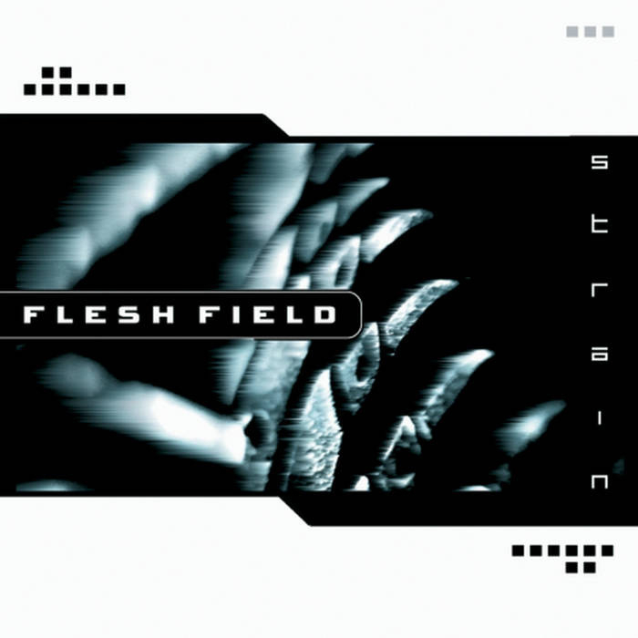 Flesh Field - Strain (album cover)