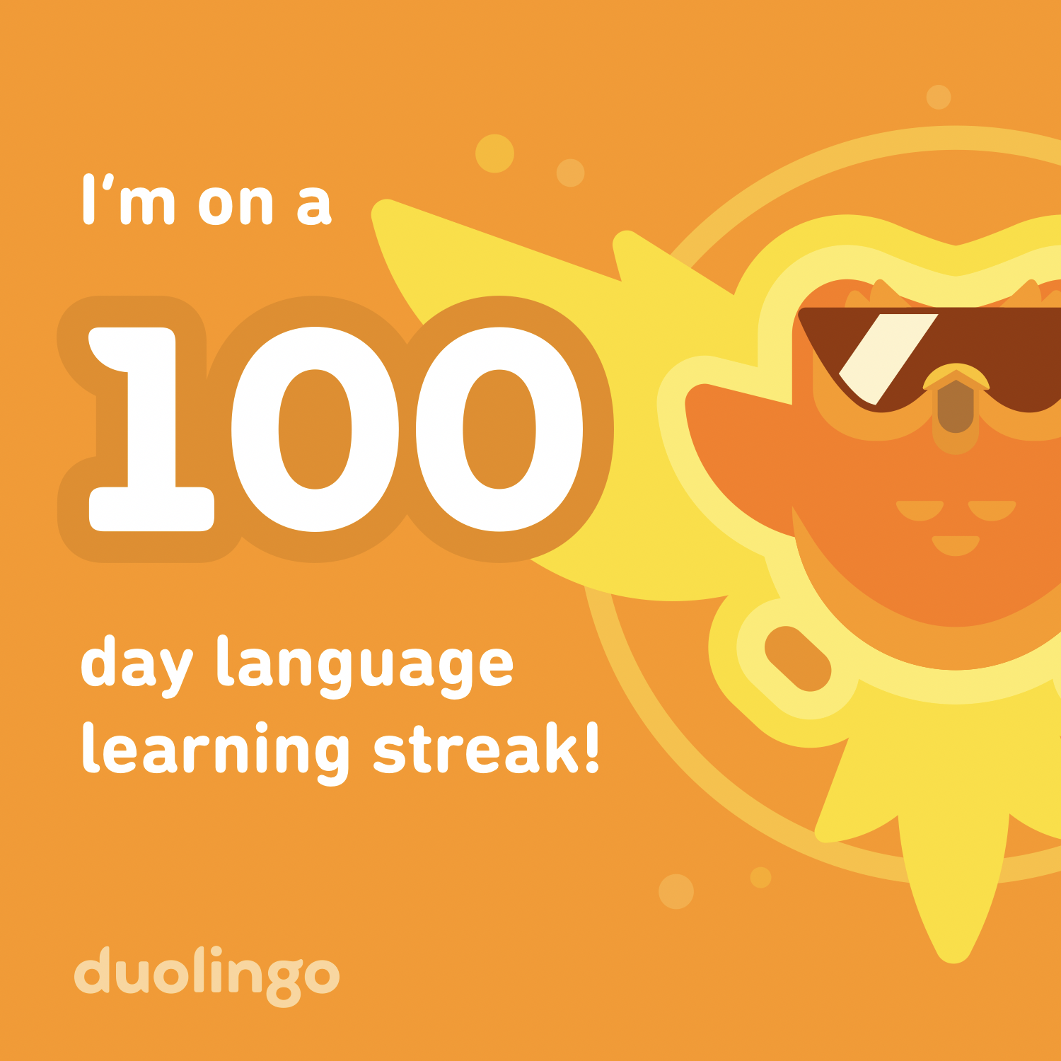 100 day learning streak