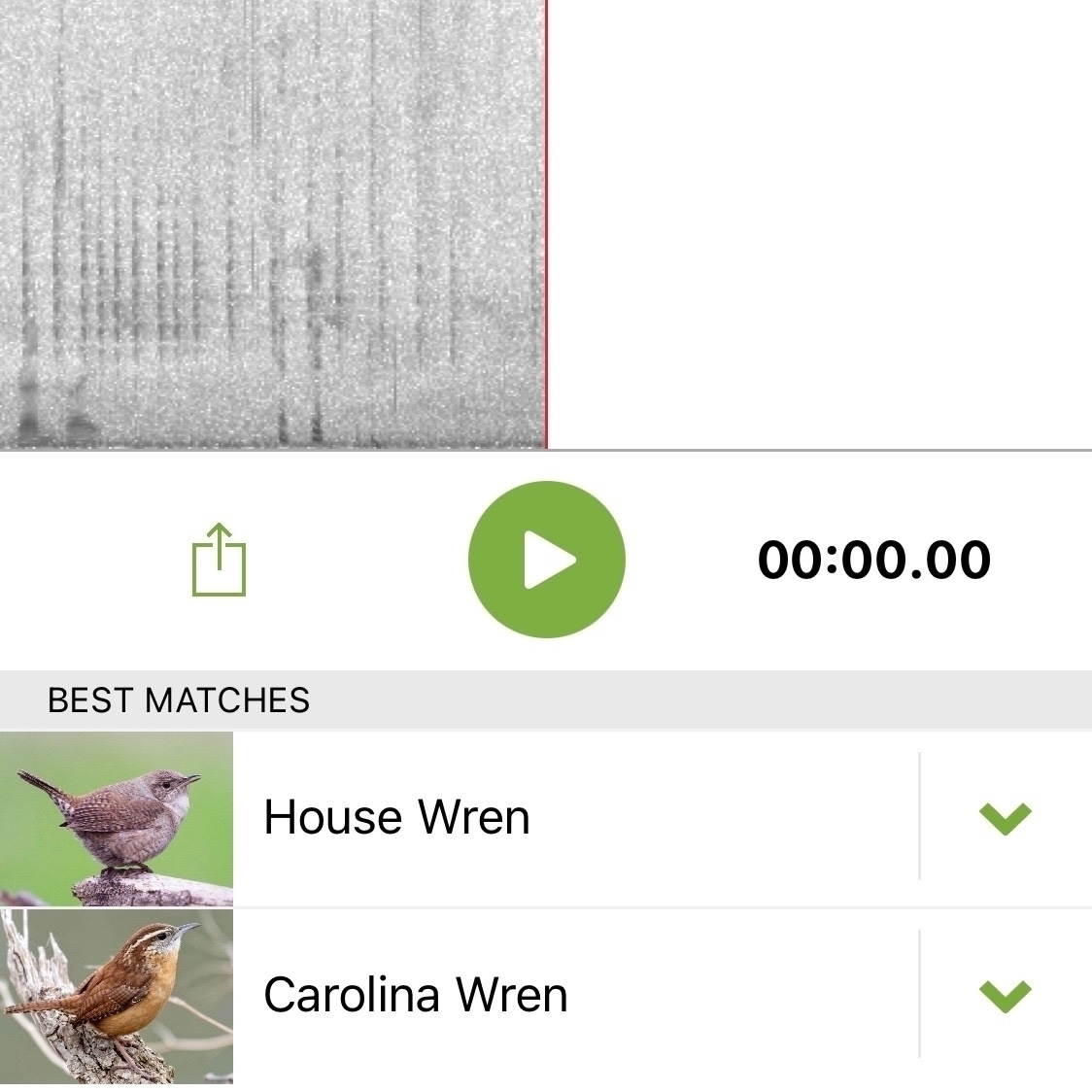 Auto-generated description: The image shows a spectrogram of a bird call at the top, with an interface indicating a bird song identification app below, displaying two types of birds, the House Wren and Carolina Wren, as the best matches for the audio analyzed.
