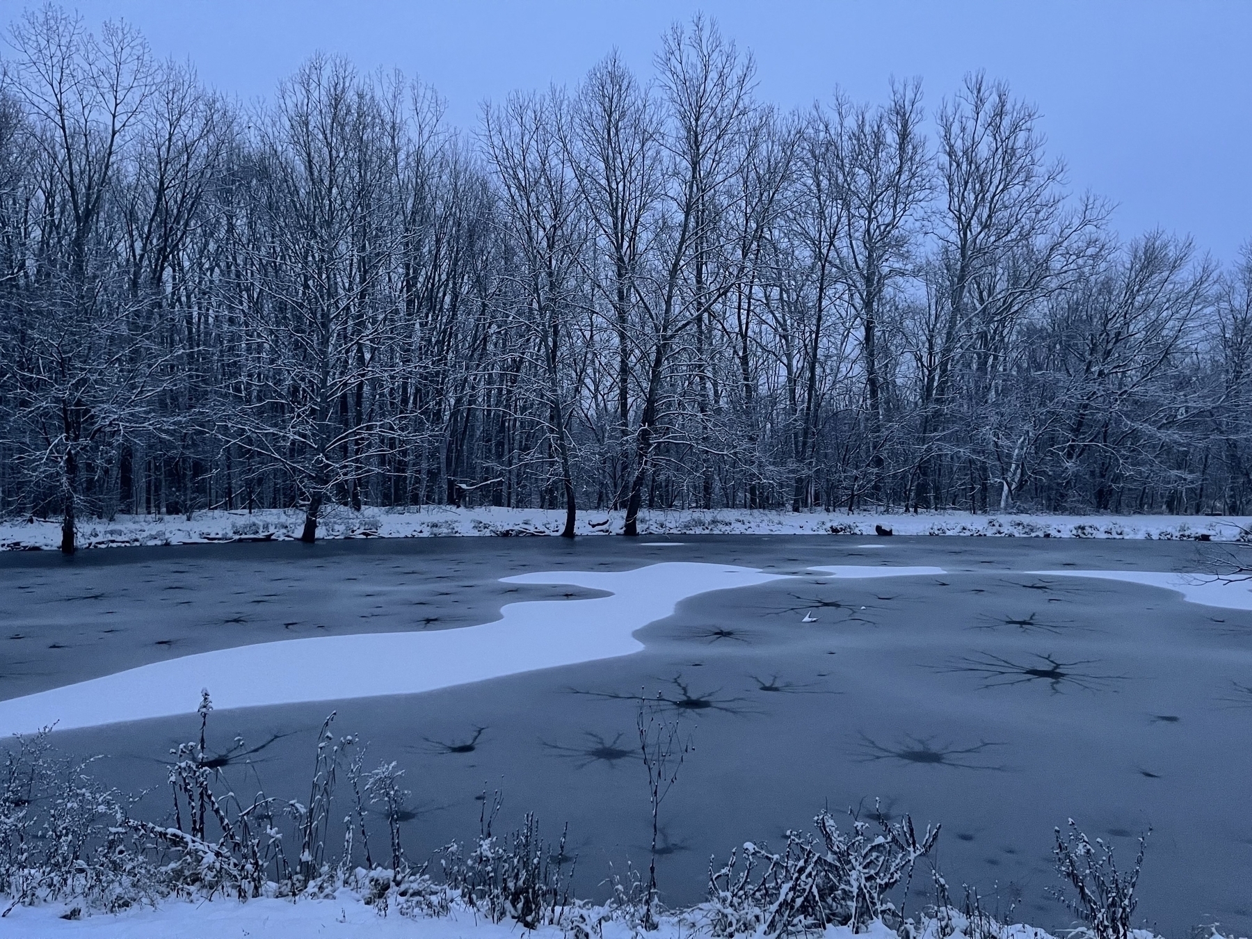 Snowy pond and woods